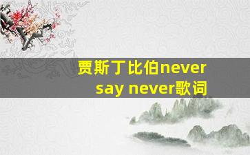 贾斯丁比伯never say never歌词